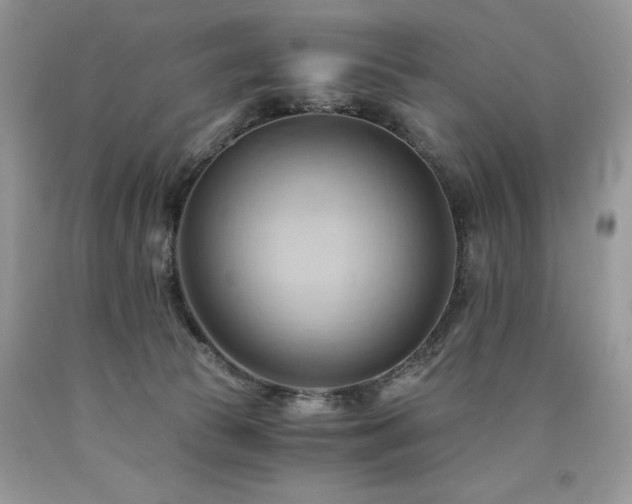 X0000090780177200707201531