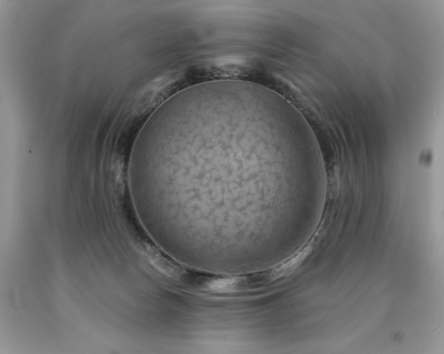 X0000090780178200707201531