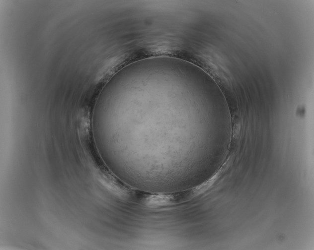X0000090780179200707201531