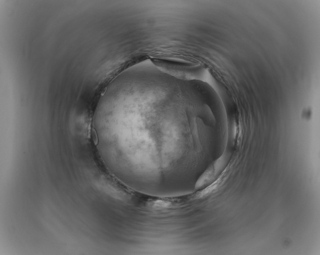 X0000090780180200707201531