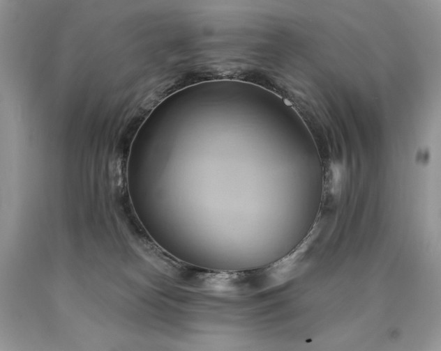 X0000090780182200707201531