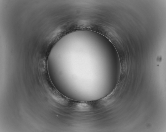 X0000090780183200707201531