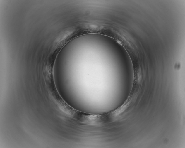 X0000090780184200707201531