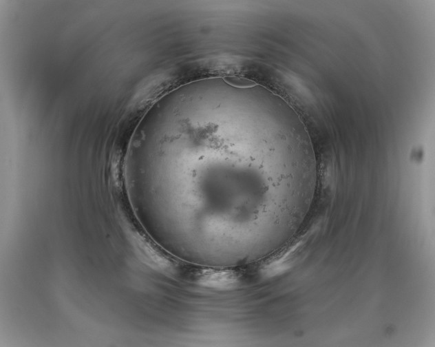 X0000090780185200707201531