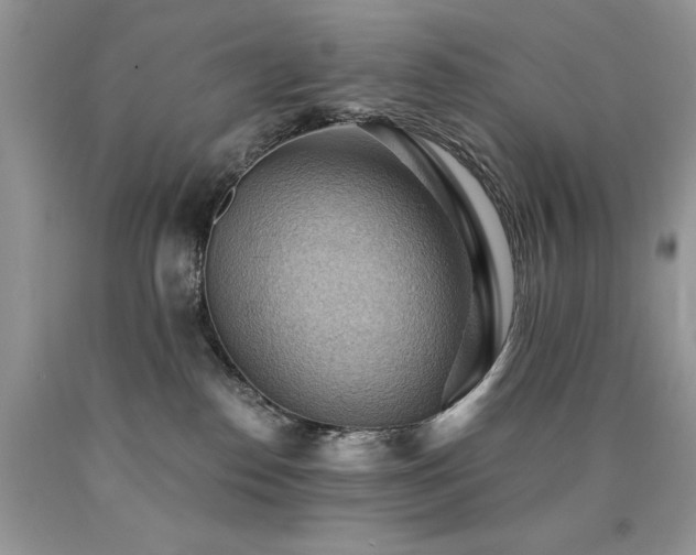X0000090780186200707201531