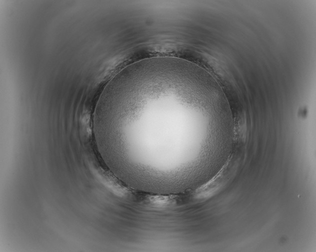 X0000090780187200707201531