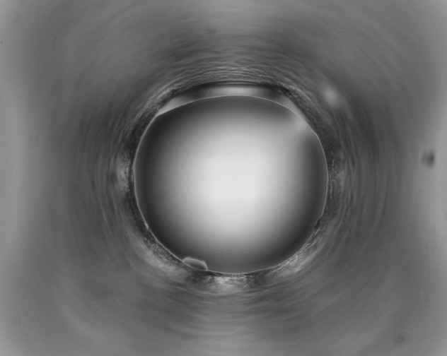 X0000090780188200707201531