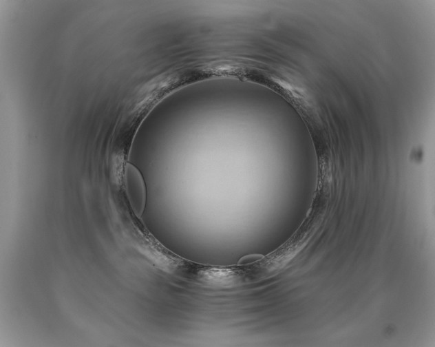 X0000090780189200707201531
