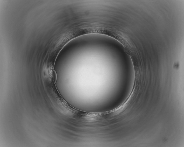 X0000090780190200707201531