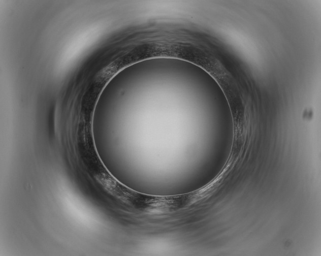 X0000090780191200707201531