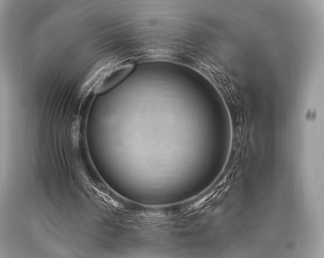 X0000090780194200707201530