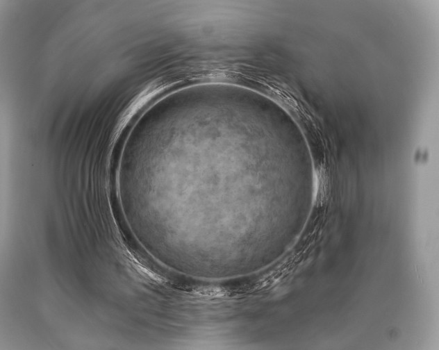 X0000090780195200707201530