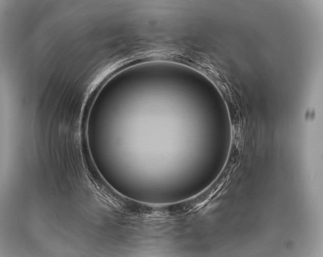 X0000090780196200707201530
