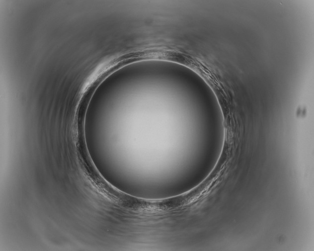 X0000090780198200707201530