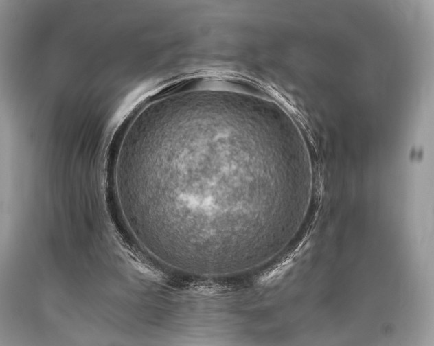 X0000090780199200707201530