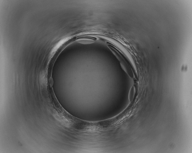 X0000090780200200707201530