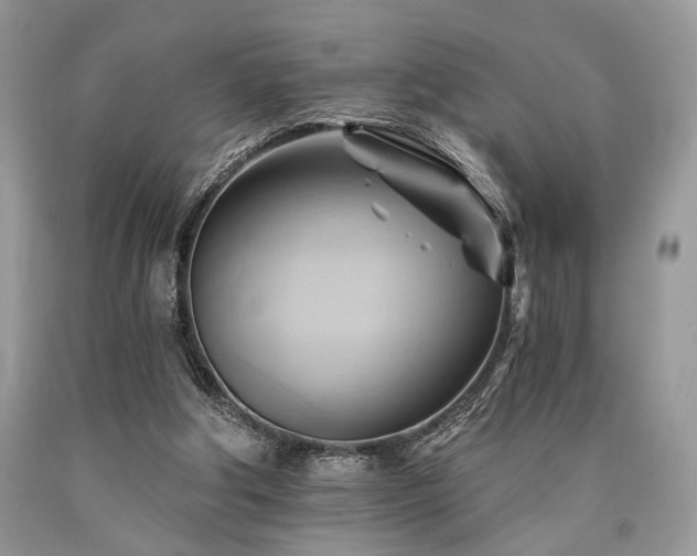 X0000090780202200707201530
