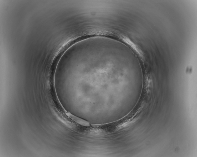 X0000090780203200707201530