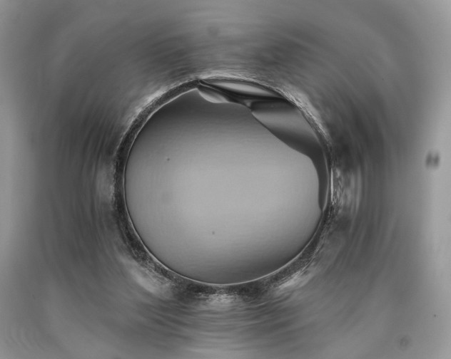 X0000090780204200707201530