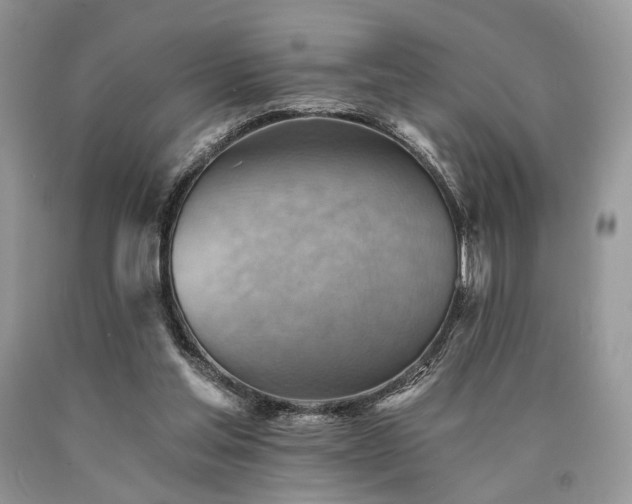 X0000090780205200707201530
