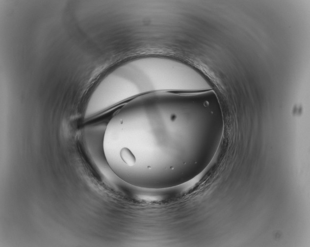 X0000090780207200707201530