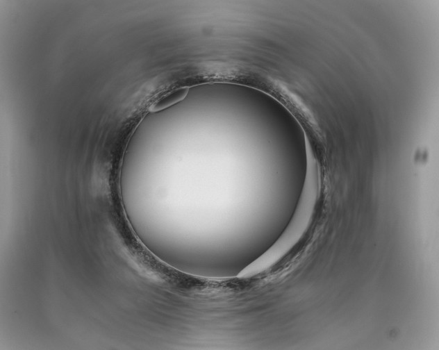 X0000090780209200707201530
