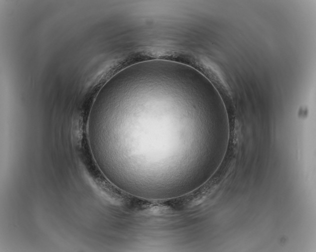 X0000090780210200707201530