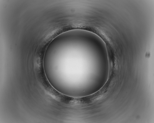 X0000090780211200707201530