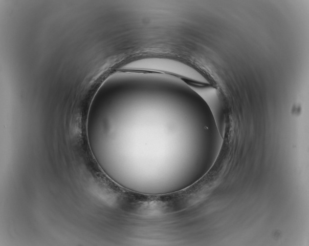 X0000090780212200707201530