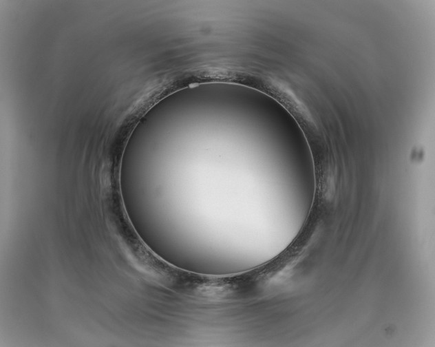 X0000090780213200707201530