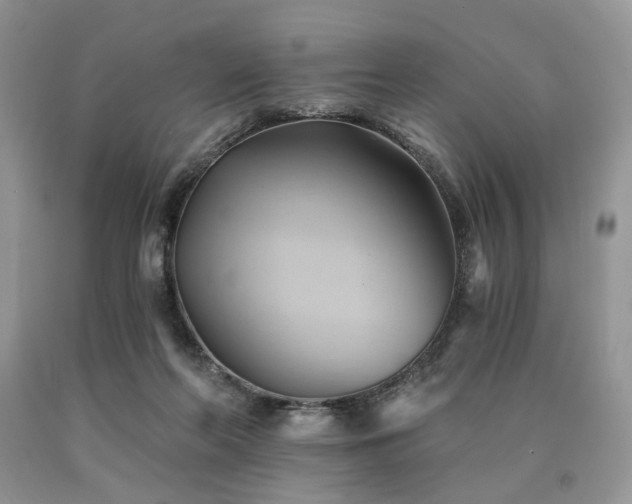 X0000090780214200707201530