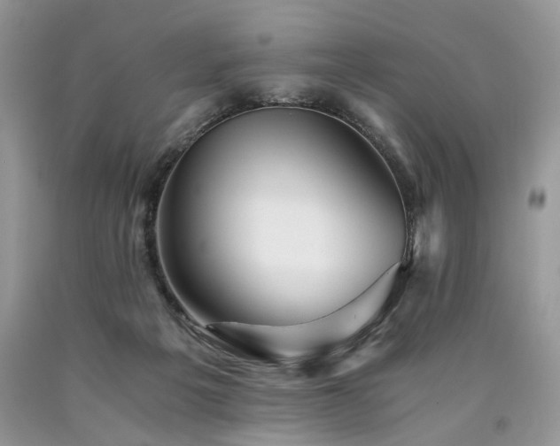 X0000090780217200707201530