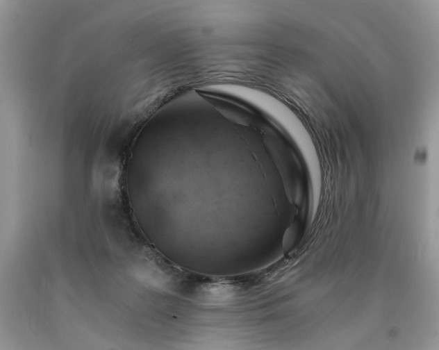 X0000090780219200707201530
