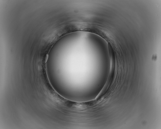 X0000090780221200707201530