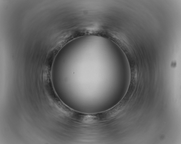 X0000090780222200707201530