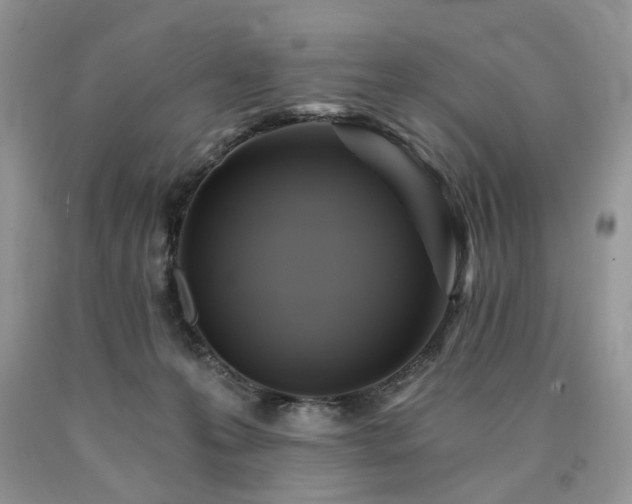 X0000090780223200707201530