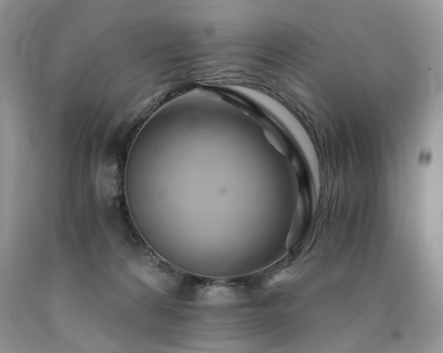 X0000090780224200707201530