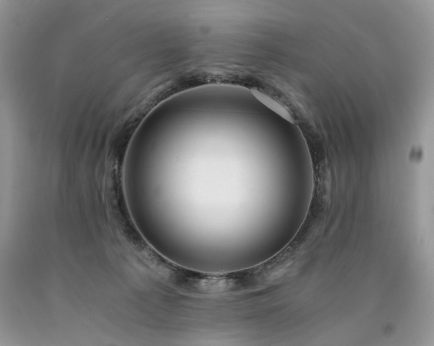 X0000090780225200707201530