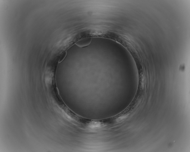 X0000090780227200707201530