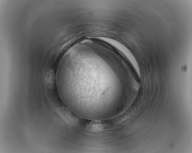 X0000090780228200707201530