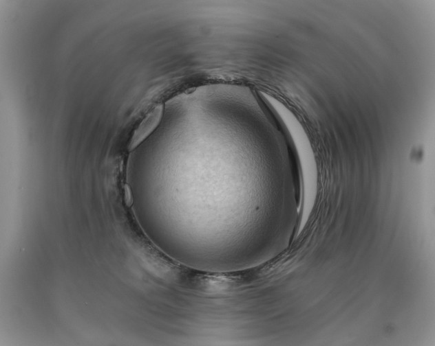 X0000090780229200707201530