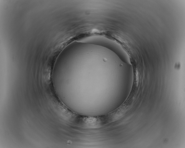 X0000090780230200707201530