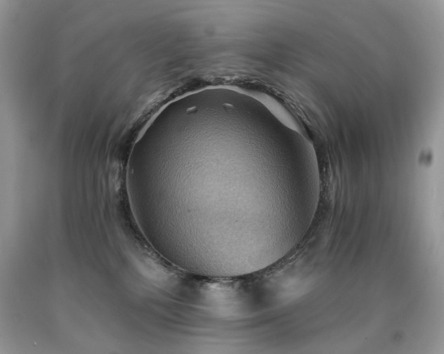 X0000090780232200707201530