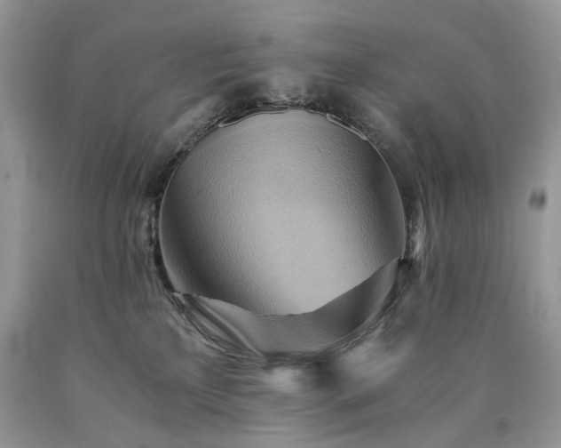 X0000090780233200707201530