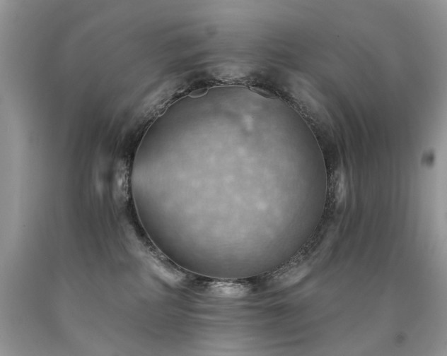 X0000090780234200707201530