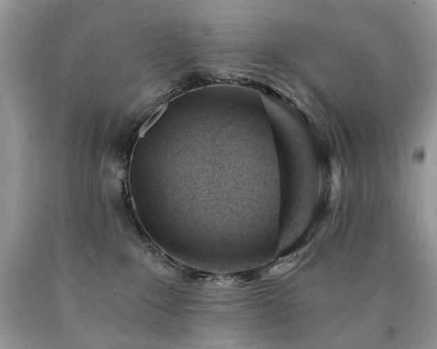 X0000090780235200707201530