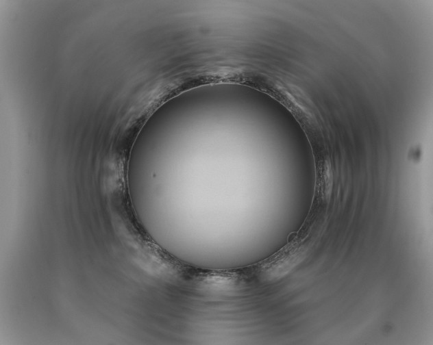 X0000090780236200707201530