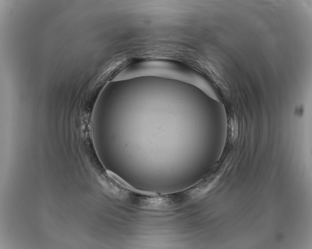 X0000090780237200707201530