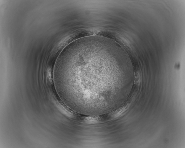 X0000090780238200707201530