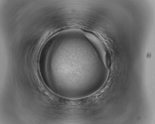 X0000090780241200707201529